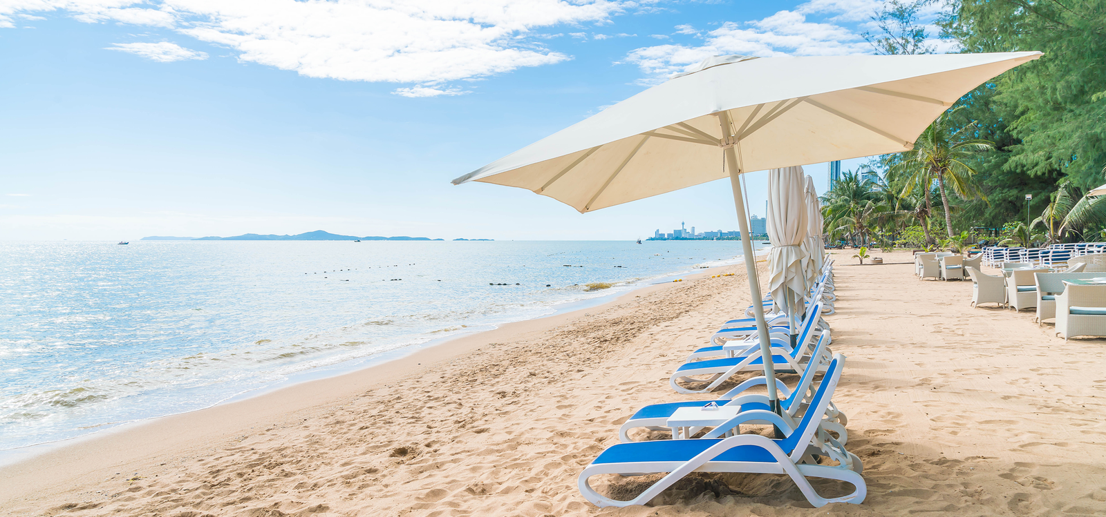 Screenshot 2026 02 13 113350