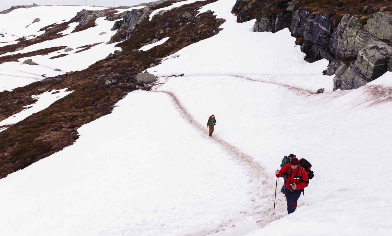 Screenshot 2026 02 13 180249